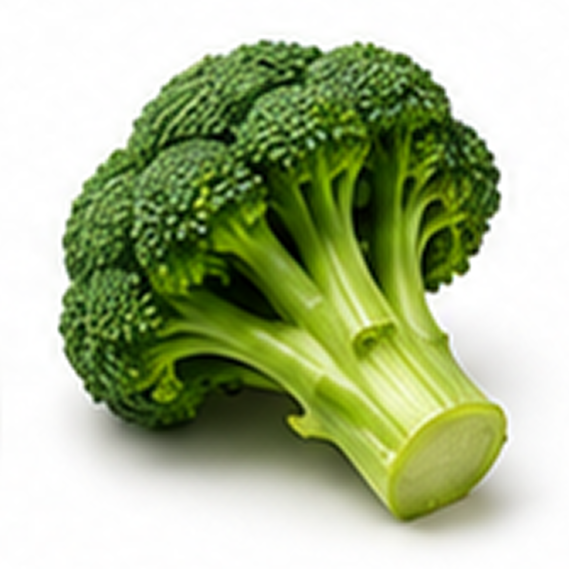 Broccoli