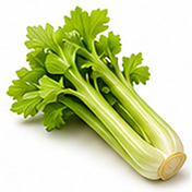 Celery Stalks
