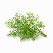 Dill