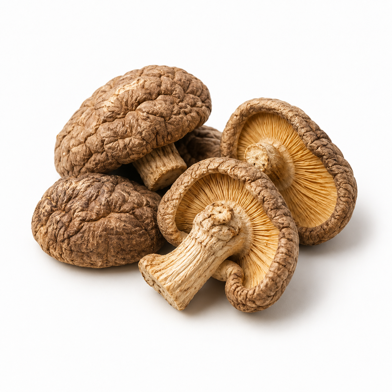 Dried mushrooms