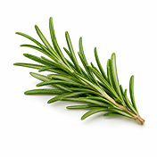 Rosemary