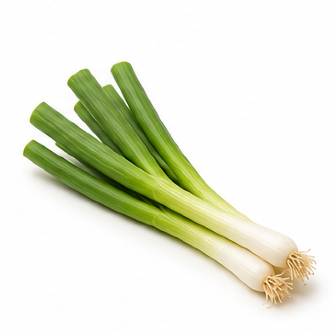 Spring onion