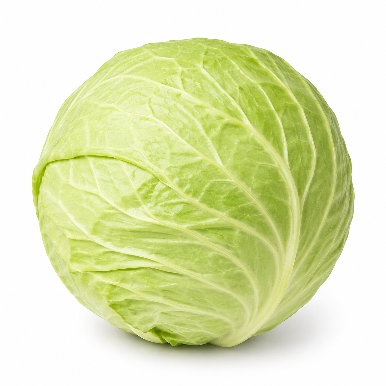 White cabbage